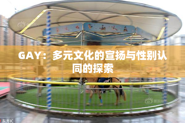 GAY：多元文化的宣扬与性别认同的探索