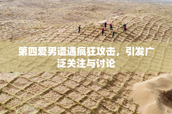 第四爱男遭遇疯狂攻击，引发广泛关注与讨论