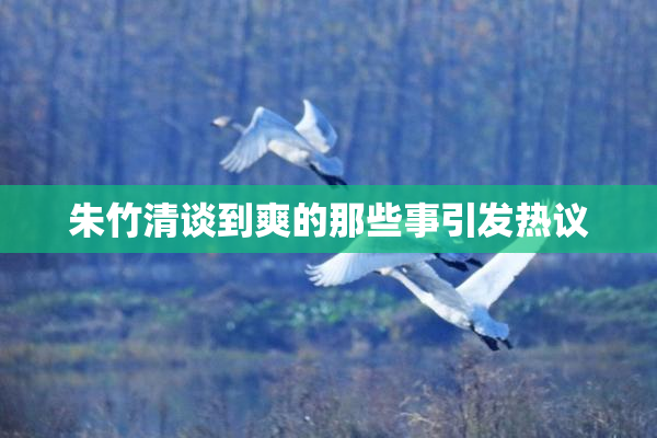 朱竹清谈到爽的那些事引发热议