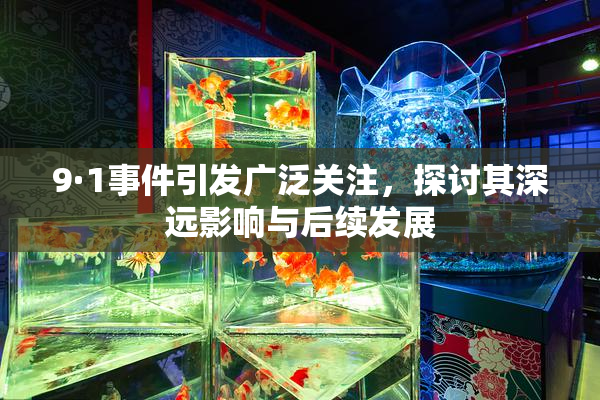9·1事件引发广泛关注，探讨其深远影响与后续发展