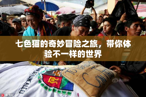 七色猫的奇妙冒险之旅，带你体验不一样的世界