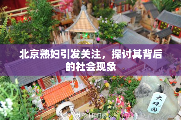 北京熟妇引发关注，探讨其背后的社会现象