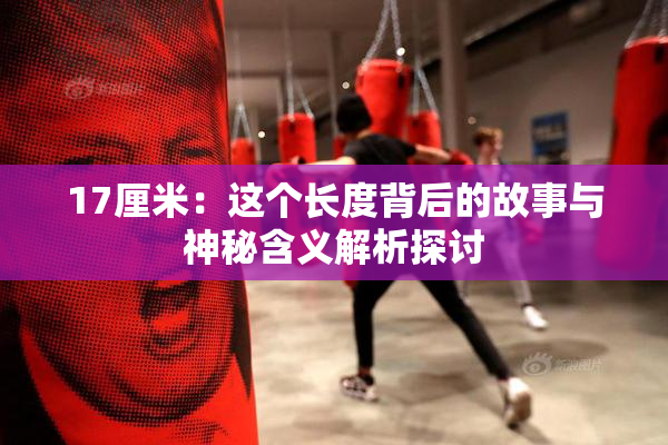 17厘米：这个长度背后的故事与神秘含义解析探讨