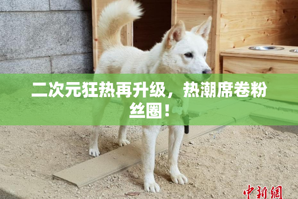 二次元狂热再升级，热潮席卷粉丝圈！