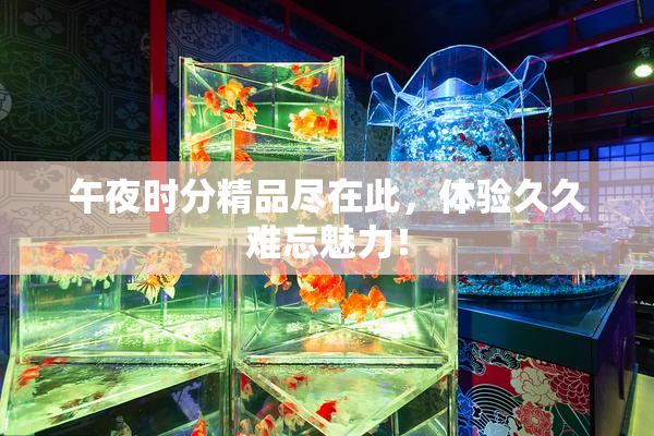 午夜时分精品尽在此，体验久久难忘魅力！