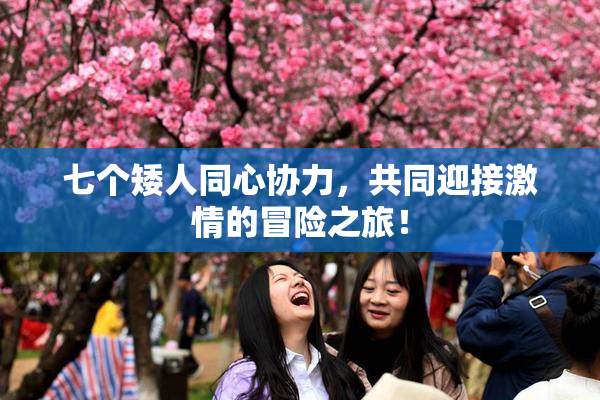 七个矮人同心协力，共同迎接激情的冒险之旅！