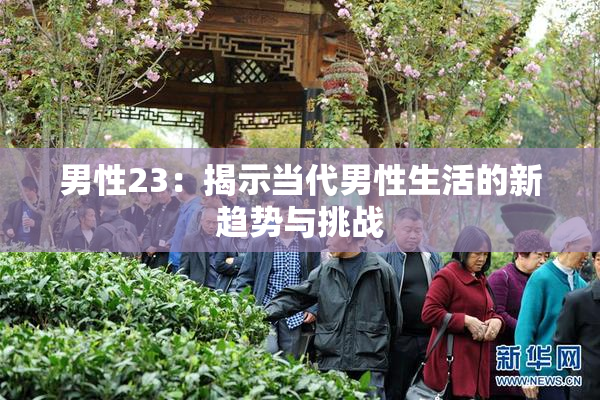 男性23：揭示当代男性生活的新趋势与挑战
