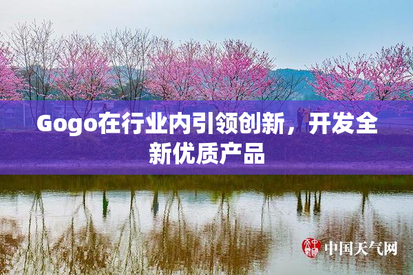 Gogo在行业内引领创新，开发全新优质产品