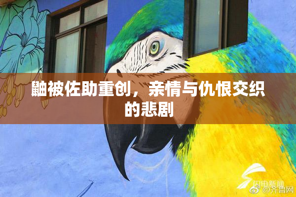 鼬被佐助重创，亲情与仇恨交织的悲剧