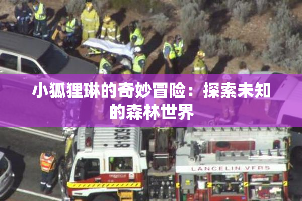 小狐狸琳的奇妙冒险：探索未知的森林世界