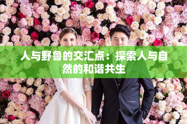 人与野鲁的交汇点：探索人与自然的和谐共生