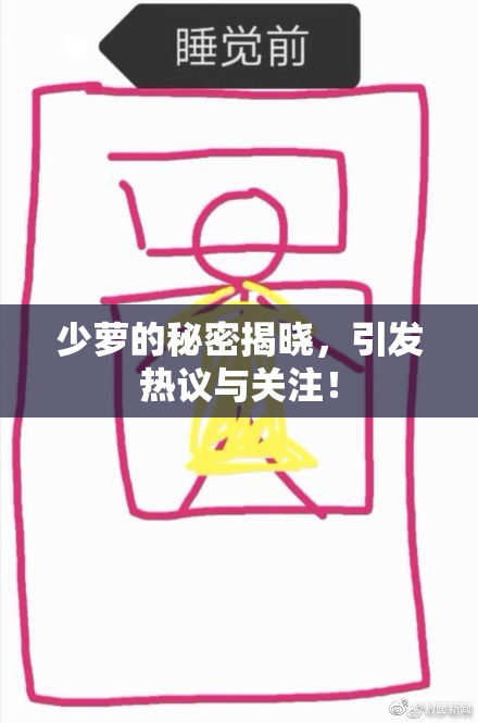 少萝的秘密揭晓，引发热议与关注！