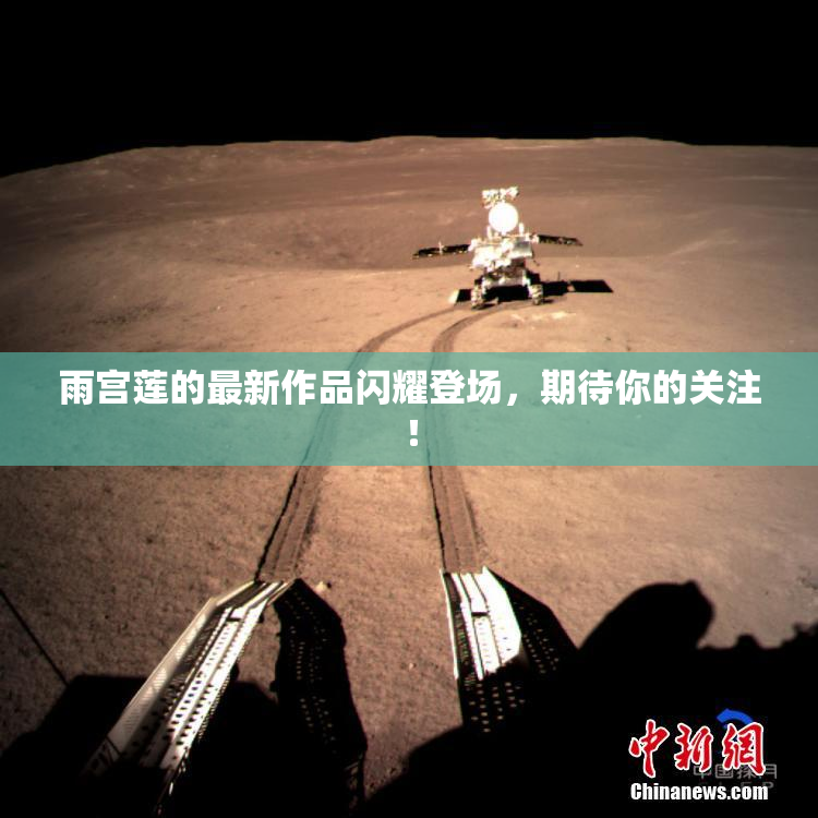 雨宫莲的最新作品闪耀登场，期待你的关注！