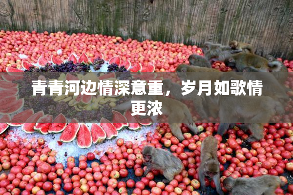 青青河边情深意重，岁月如歌情更浓