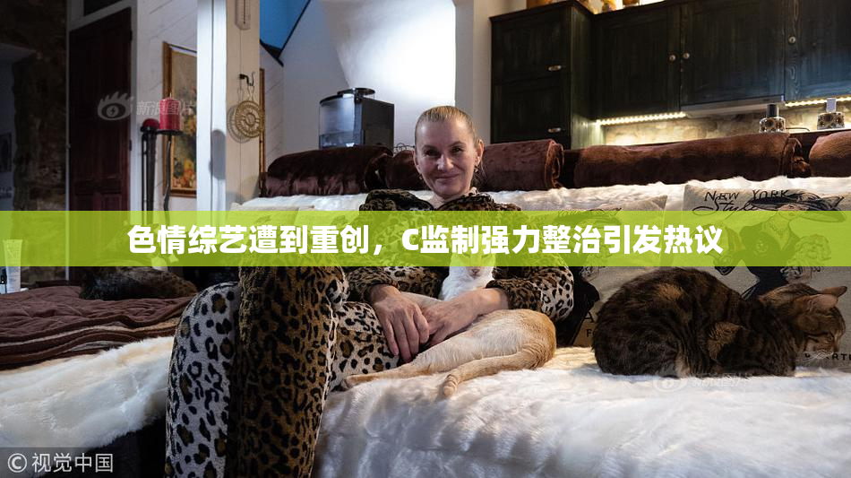 色情综艺遭到重创，C监制强力整治引发热议