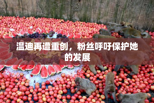 温迪再遭重创，粉丝呼吁保护她的发展