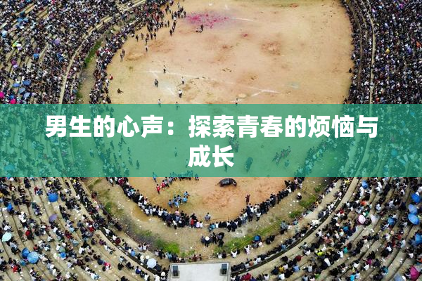男生的心声：探索青春的烦恼与成长