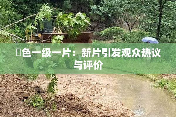 黃色一级一片：新片引发观众热议与评价