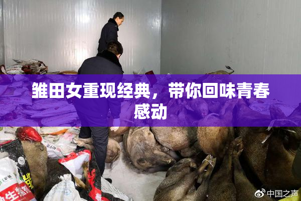 雏田女重现经典，带你回味青春感动