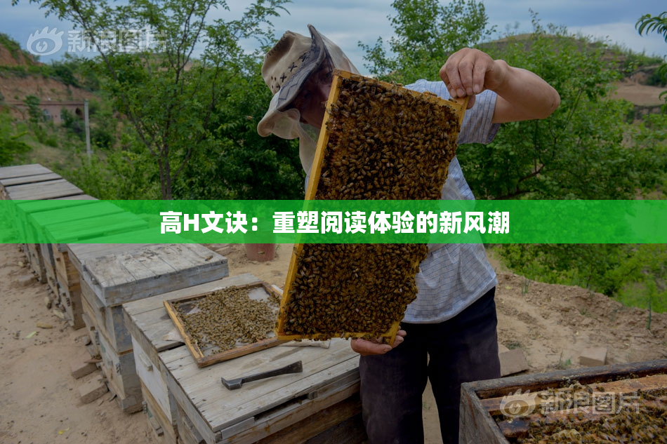 高H文诀：重塑阅读体验的新风潮