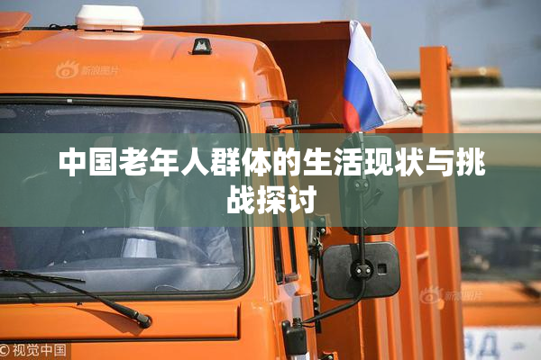中国老年人群体的生活现状与挑战探讨