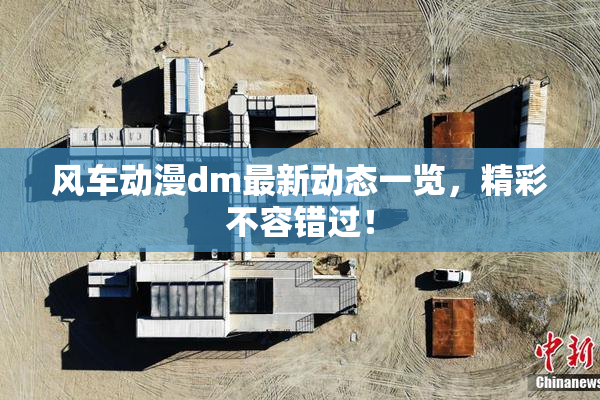 风车动漫dm最新动态一览，精彩不容错过！