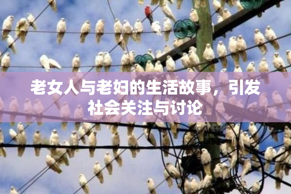老女人与老妇的生活故事，引发社会关注与讨论
