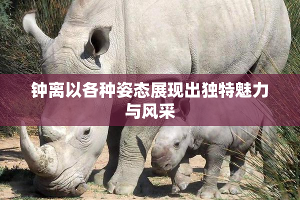 钟离以各种姿态展现出独特魅力与风采