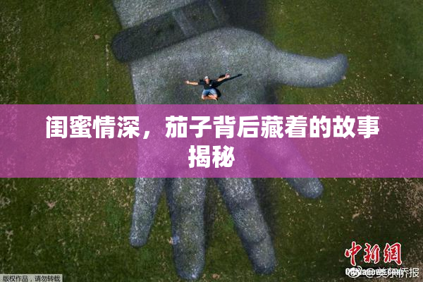 闺蜜情深，茄子背后藏着的故事揭秘