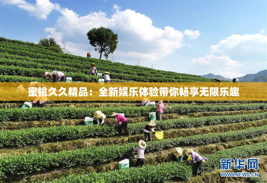 蜜桃久久精品：全新娱乐体验带你畅享无限乐趣