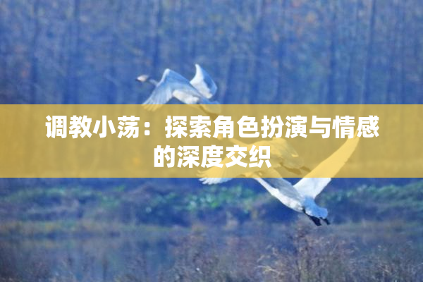 调教小荡：探索角色扮演与情感的深度交织