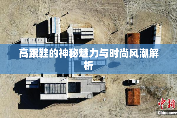 高跟鞋的神秘魅力与时尚风潮解析