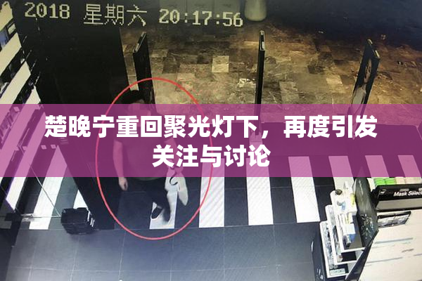 楚晚宁重回聚光灯下，再度引发关注与讨论