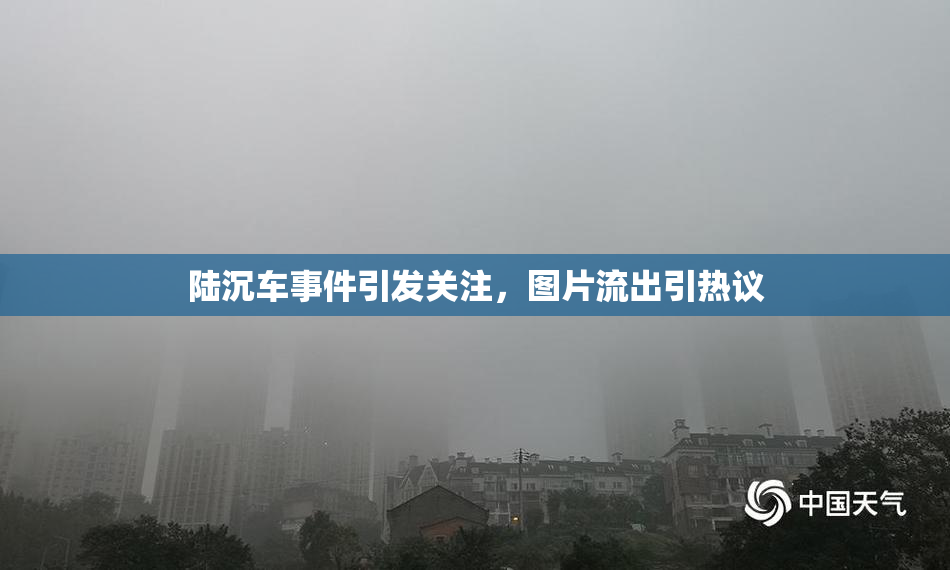 陆沉车事件引发关注，图片流出引热议