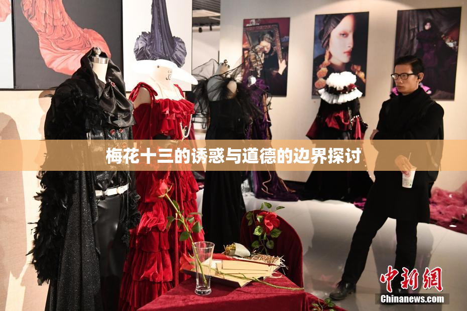 梅花十三的诱惑与道德的边界探讨