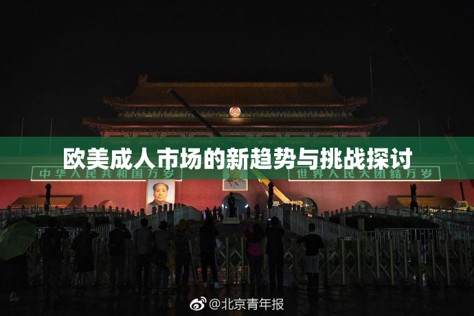 欧美成人市场的新趋势与挑战探讨
