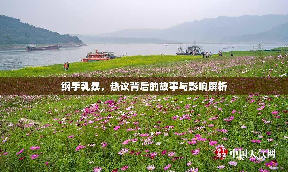 纲手乳暴，热议背后的故事与影响解析