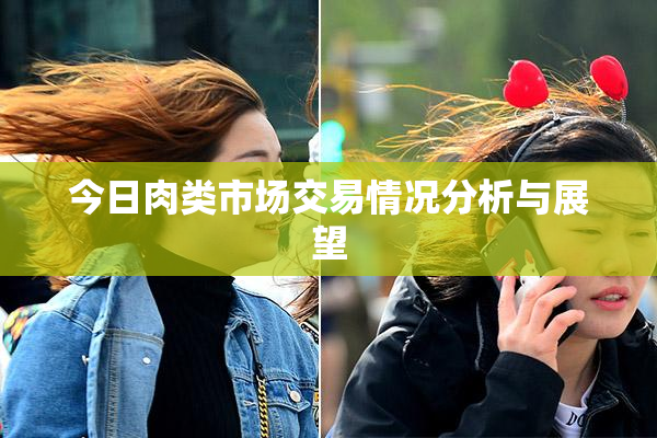 今日肉类市场交易情况分析与展望