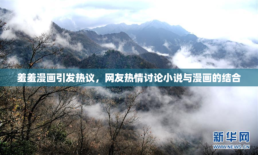 羞羞漫画引发热议，网友热情讨论小说与漫画的结合