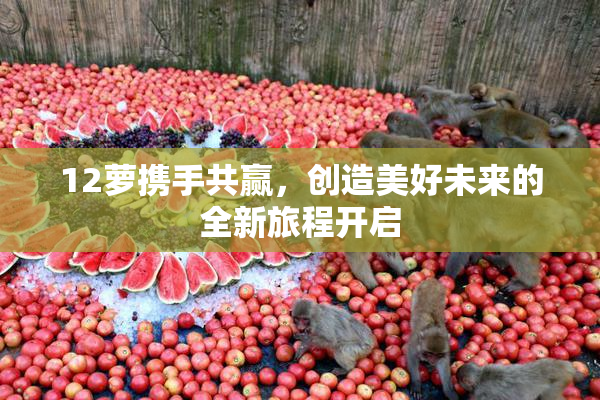 12萝携手共赢，创造美好未来的全新旅程开启