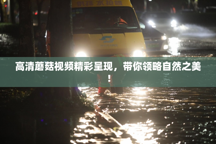 高清蘑菇视频精彩呈现，带你领略自然之美！