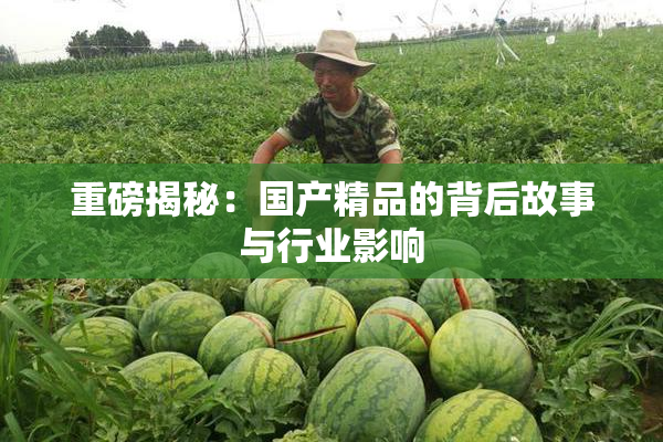 重磅揭秘：国产精品的背后故事与行业影响