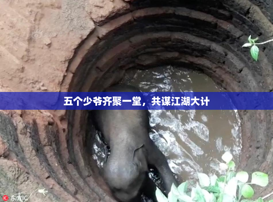 五个少爷齐聚一堂，共谋江湖大计