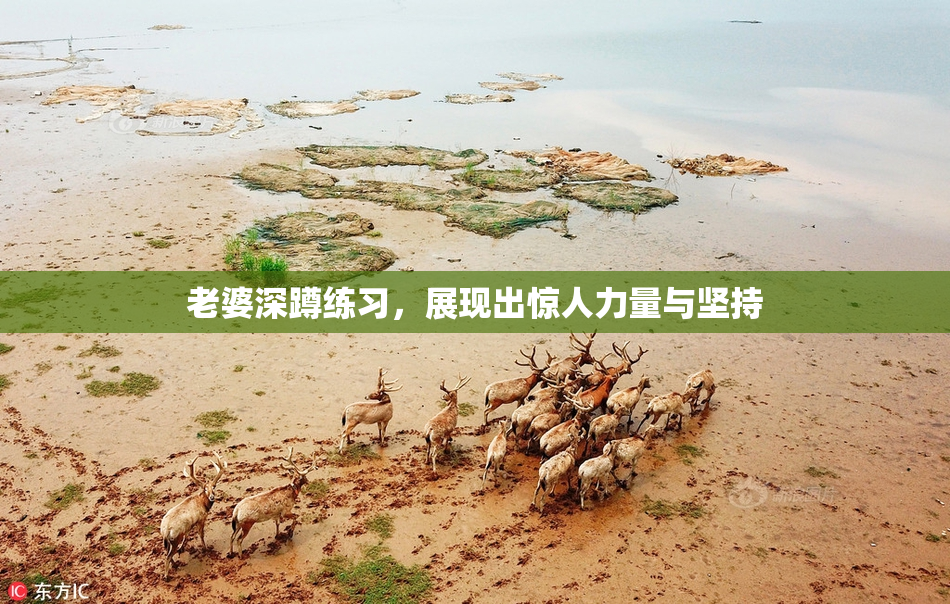 老婆深蹲练习，展现出惊人力量与坚持