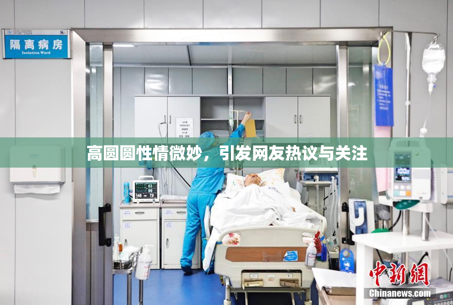 高圆圆性情微妙，引发网友热议与关注