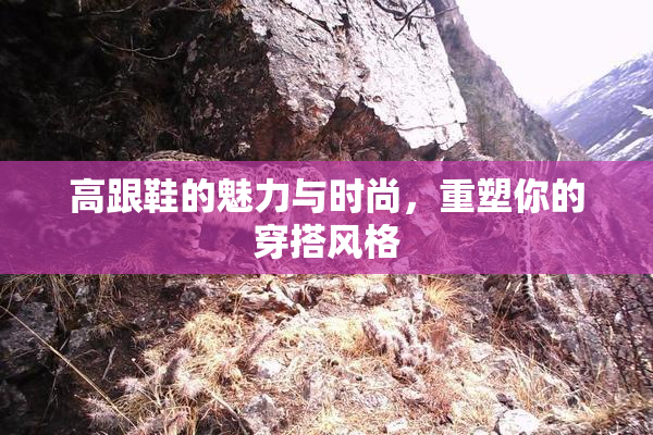 高跟鞋的魅力与时尚，重塑你的穿搭风格