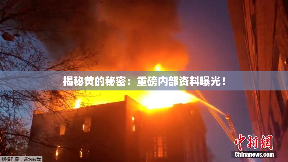 揭秘黄的秘密：重磅内部资料曝光！