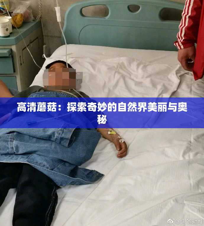 高清蘑菇：探索奇妙的自然界美丽与奥秘