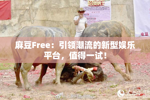 麻豆Free：引领潮流的新型娱乐平台，值得一试！