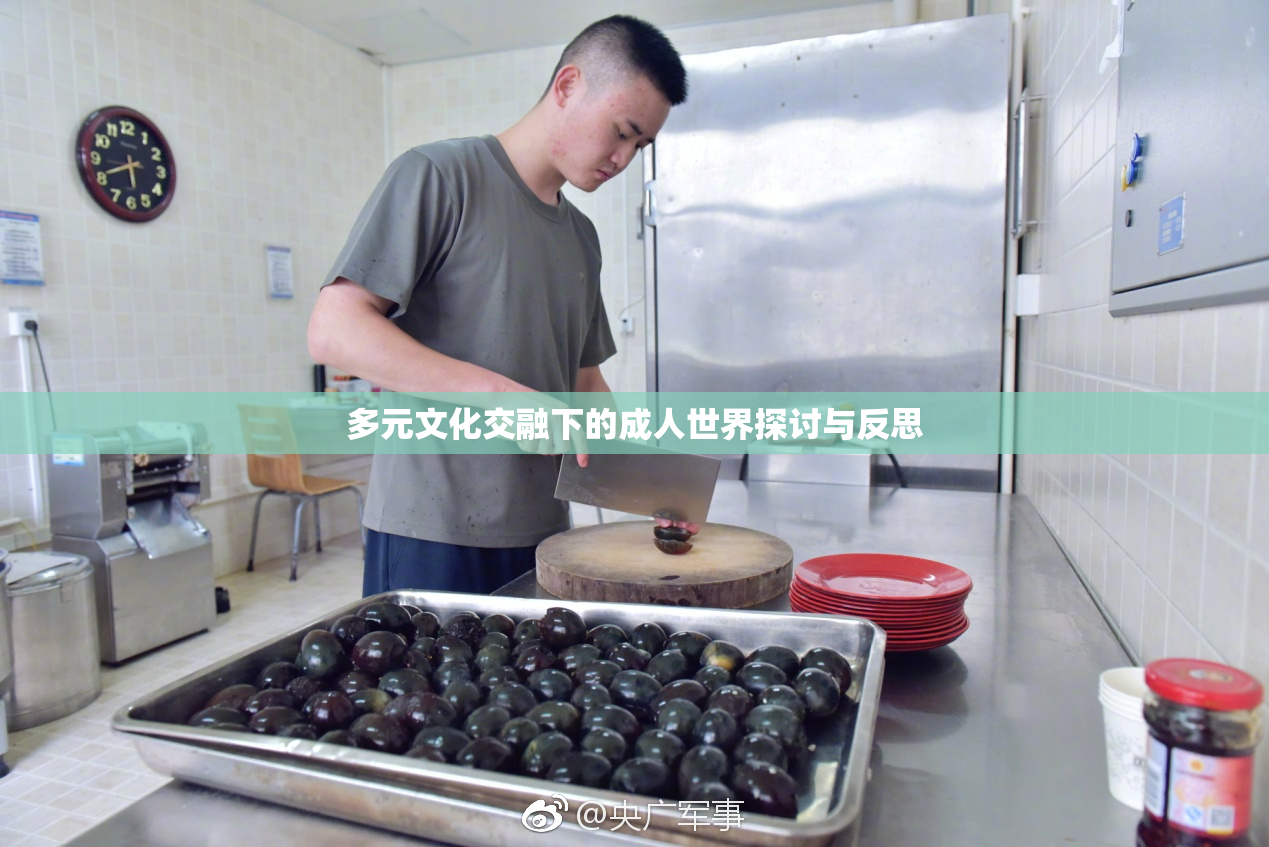 多元文化交融下的成人世界探讨与反思
